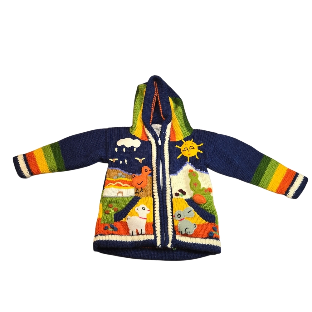 Kid’s Rainbow Peruvian Wool Sweater Zipper Cardigan Embroidered Hooded Sz 0